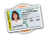 Get Your Florida Driver License