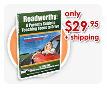 Driving School DVD at a Great Value.