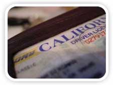 CA Driver License