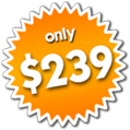 Only $239.00