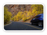 Canyon Driving & Defensive Driving